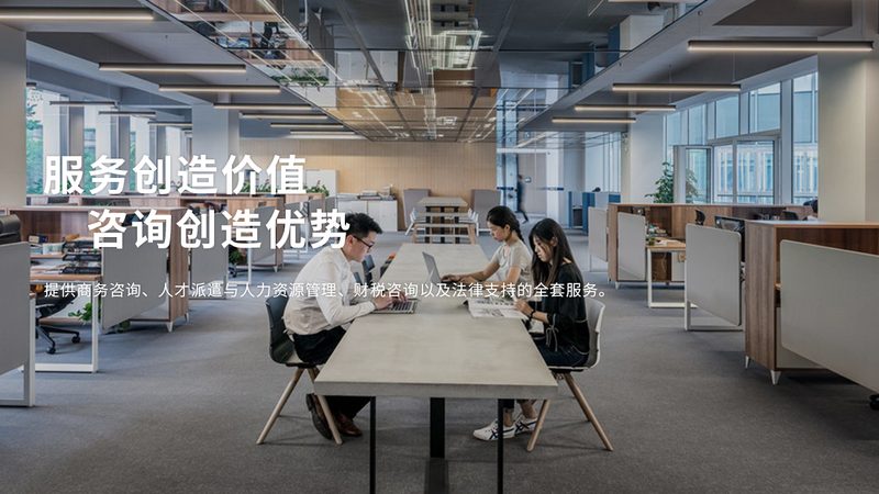 可行性研究经济效益分析软件